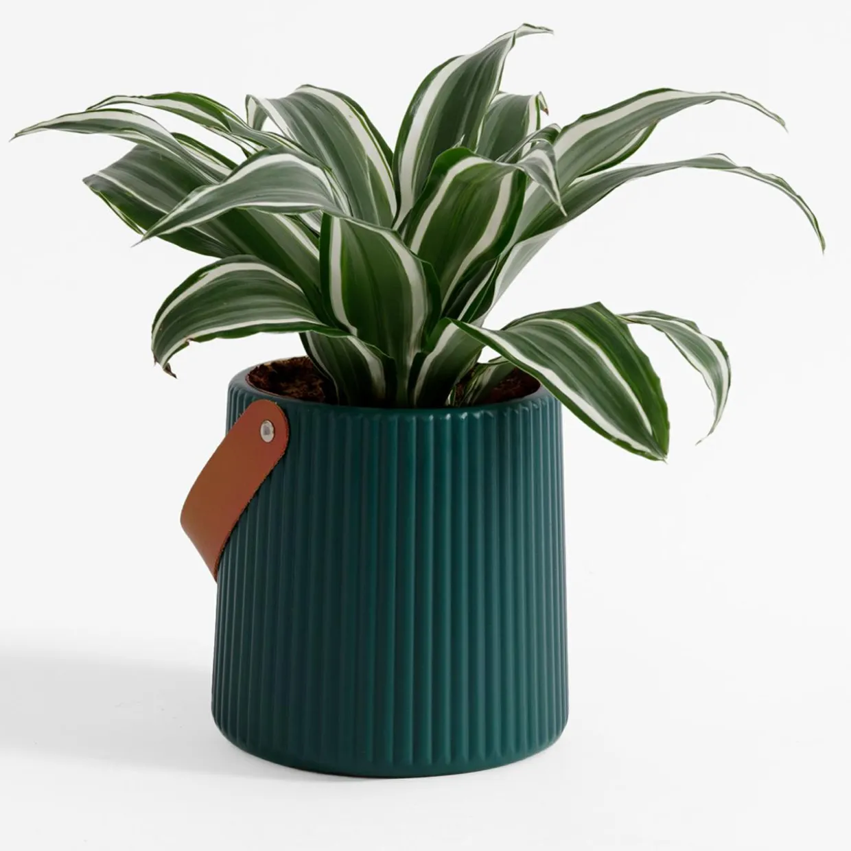 Doniczka z uchwytem zielona 15 cm