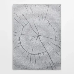 Dywan wzór plaster drewna szary MIRACLE 160x230 cm