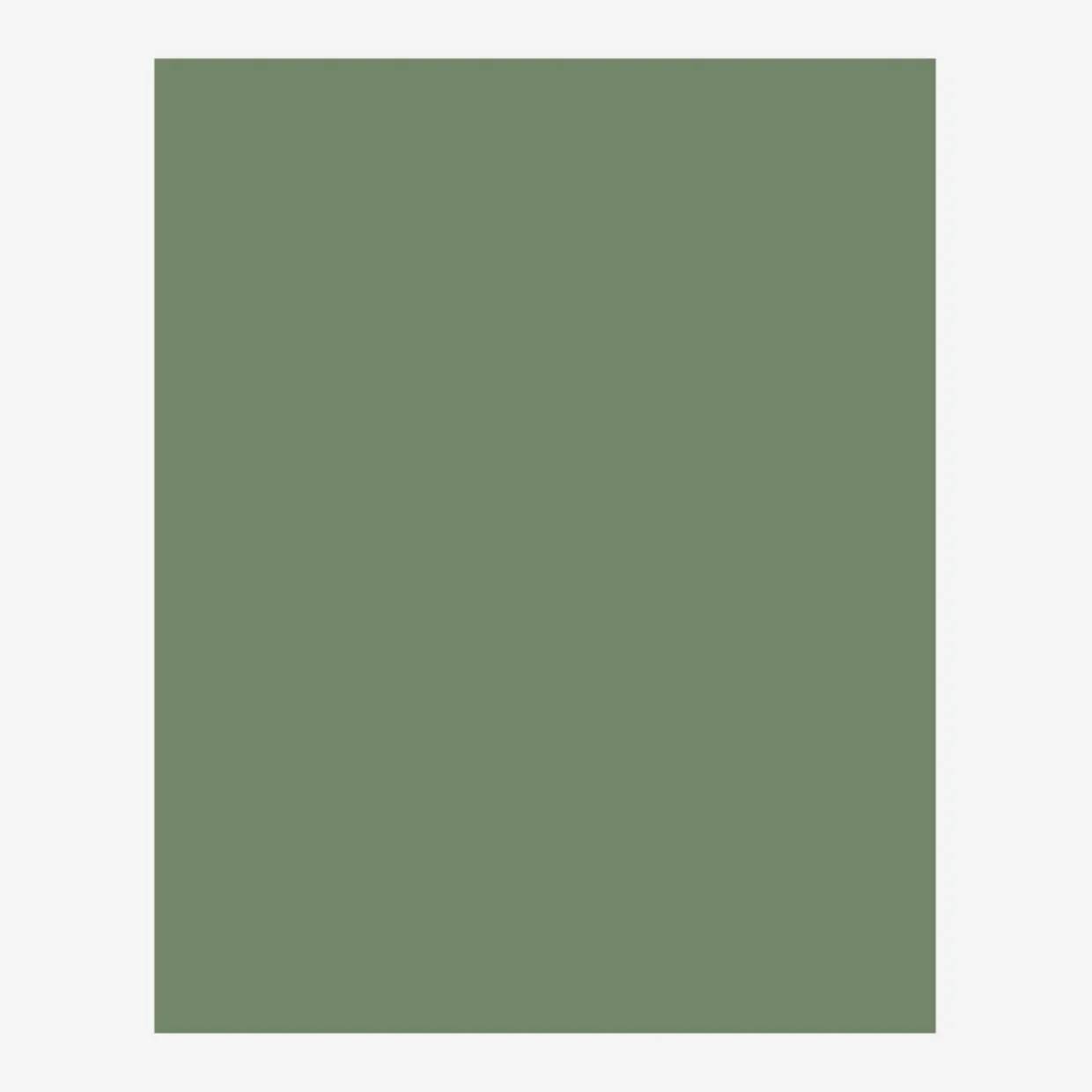 Formatka BASIC PLUS BP/FK 72x1,8x58 cm smoke green