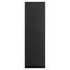 Front drzwi PIANO PLUS 30x98 czarny mat