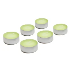 Komplet 6 podgrzewaczy LEMONGRASS MAX