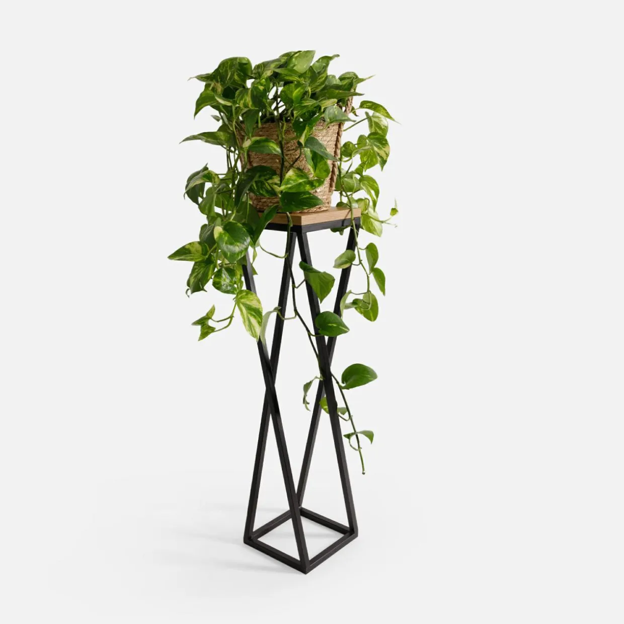 Kwietnik stalowy loftowy czarny dąb LESCAR S 62 cm