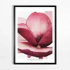 Obraz do salonu FLOWER I 50x70 cm