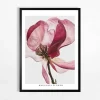 Obraz do salonu RED FLOWER II 50x70 cm