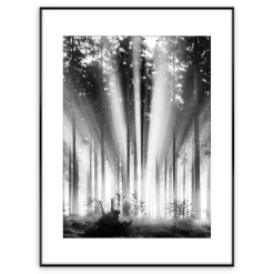 Obraz FOG AND SUN ARTBOX DIGI 50x70 cm
