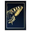 Obraz GOLD FLANK II 63x83 cm