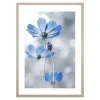 Obraz niebieskie kwiaty BLUE NATURE I 53x73 cm