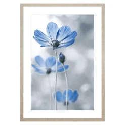 Obraz niebieskie kwiaty BLUE NATURE I 53x73 cm