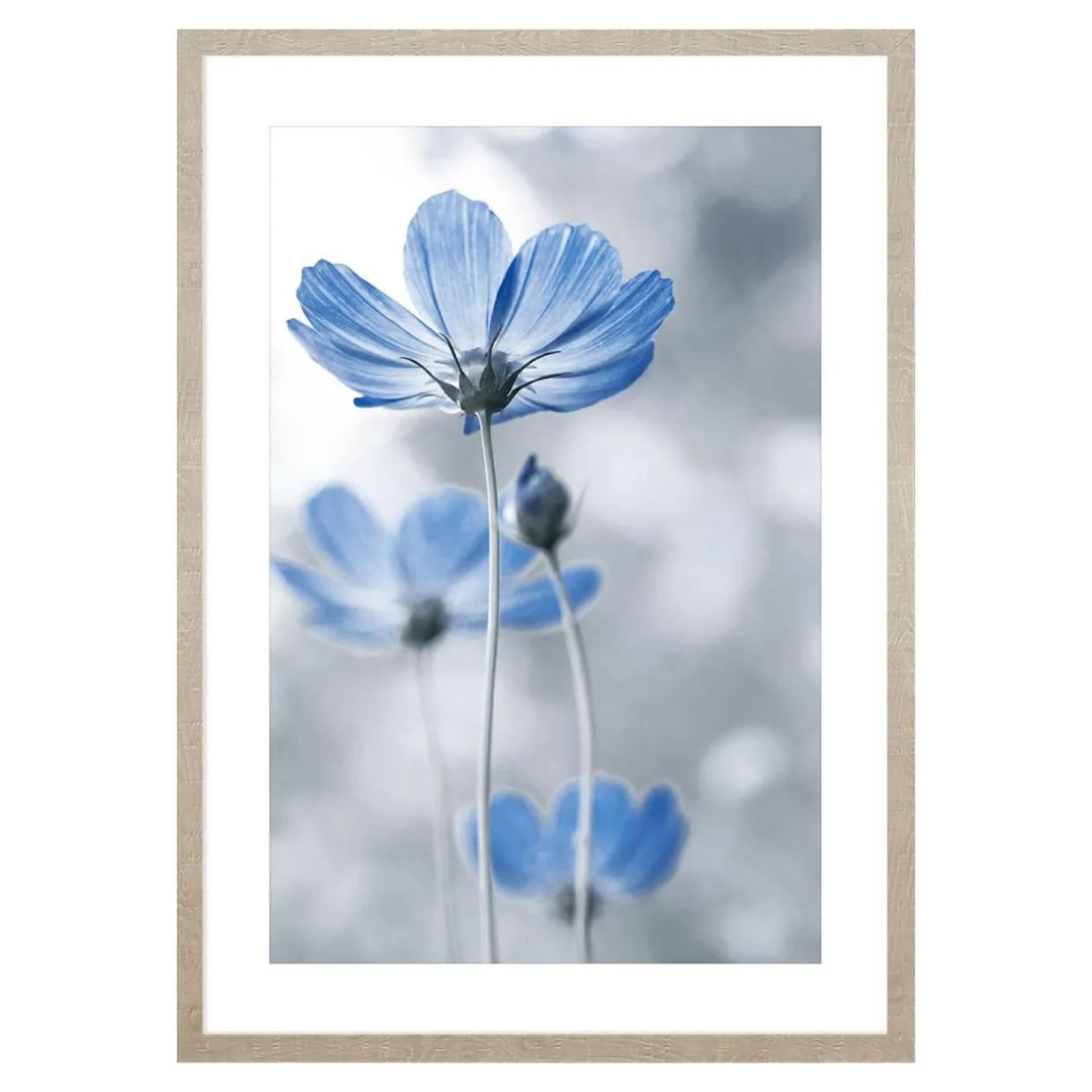 Obraz niebieskie kwiaty BLUE NATURE I 53x73 cm
