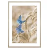 Obraz niebieskie motyle BLUE NATURE II 53x73 cm