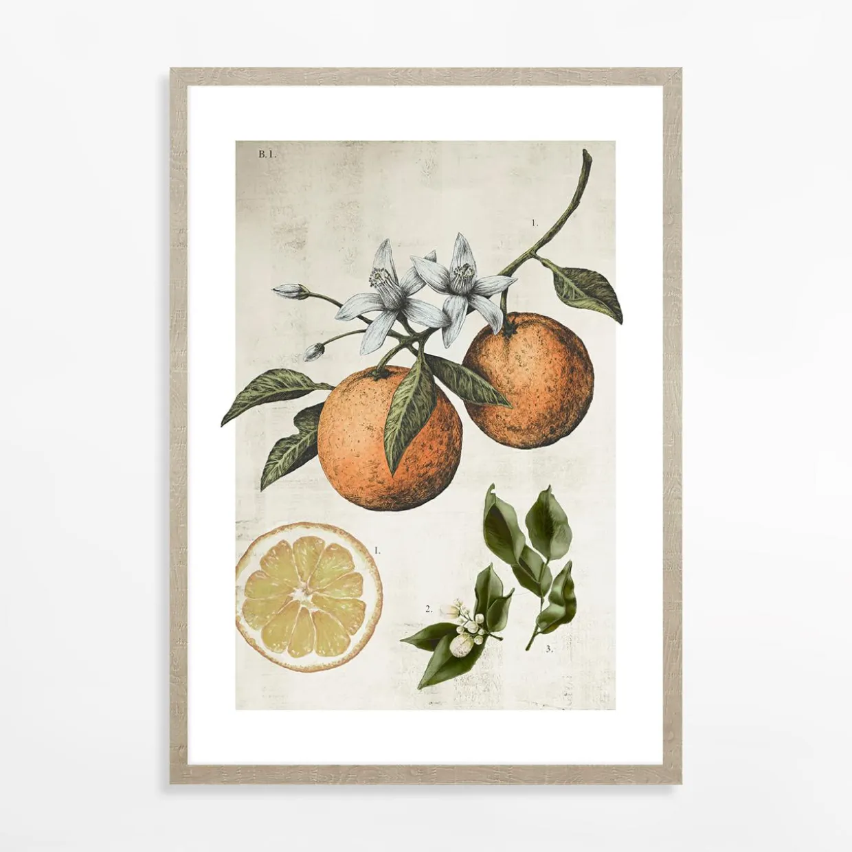 Obraz ORANGE LIFE CYCLE 21x30 cm