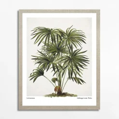 Obraz PALM EGZOTIC PLANT 40x50 cm