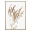 Obraz PAMPAS GRASS I 53x73 cm