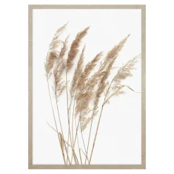 Obraz PAMPAS GRASS I 53x73 cm