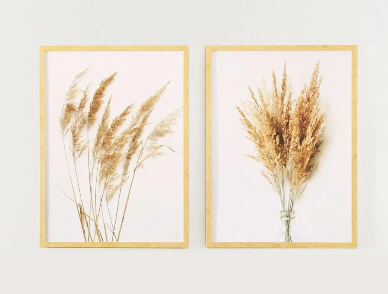 Obraz PAMPAS GRASS I 53x73 cm