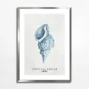 Obraz TROPICAL SHELLS I 50x70 cm