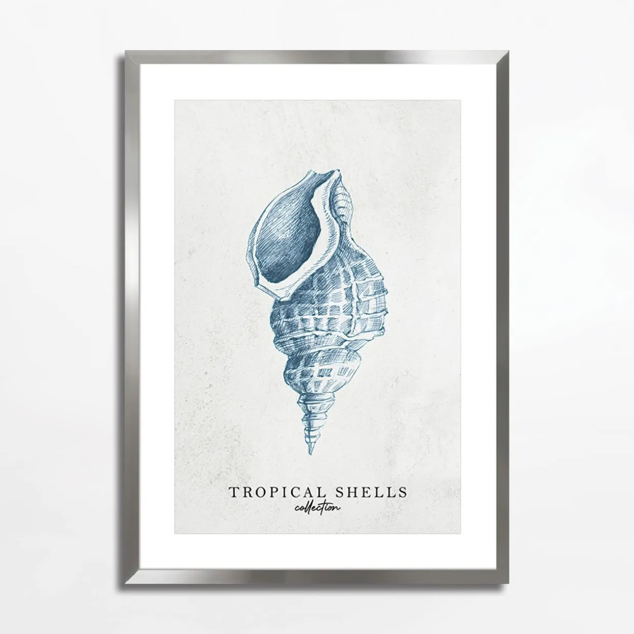 Obraz TROPICAL SHELLS I 50x70 cm