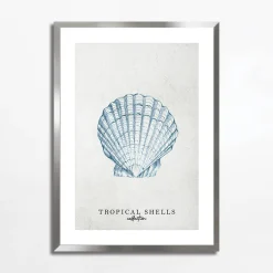 Obraz TROPICAL SHELLS II 50x70 cm