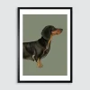 Obraz w czarnej ramie DASCHUND II 50x70 cm