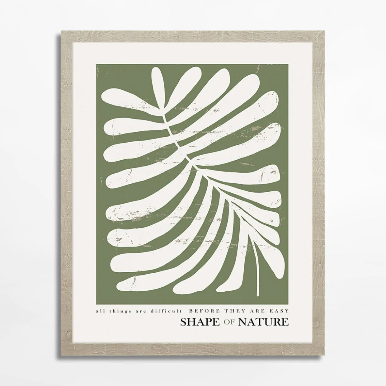 Obraz z roślinnym motywem SHAPE OF NATURE I 40x50 cm