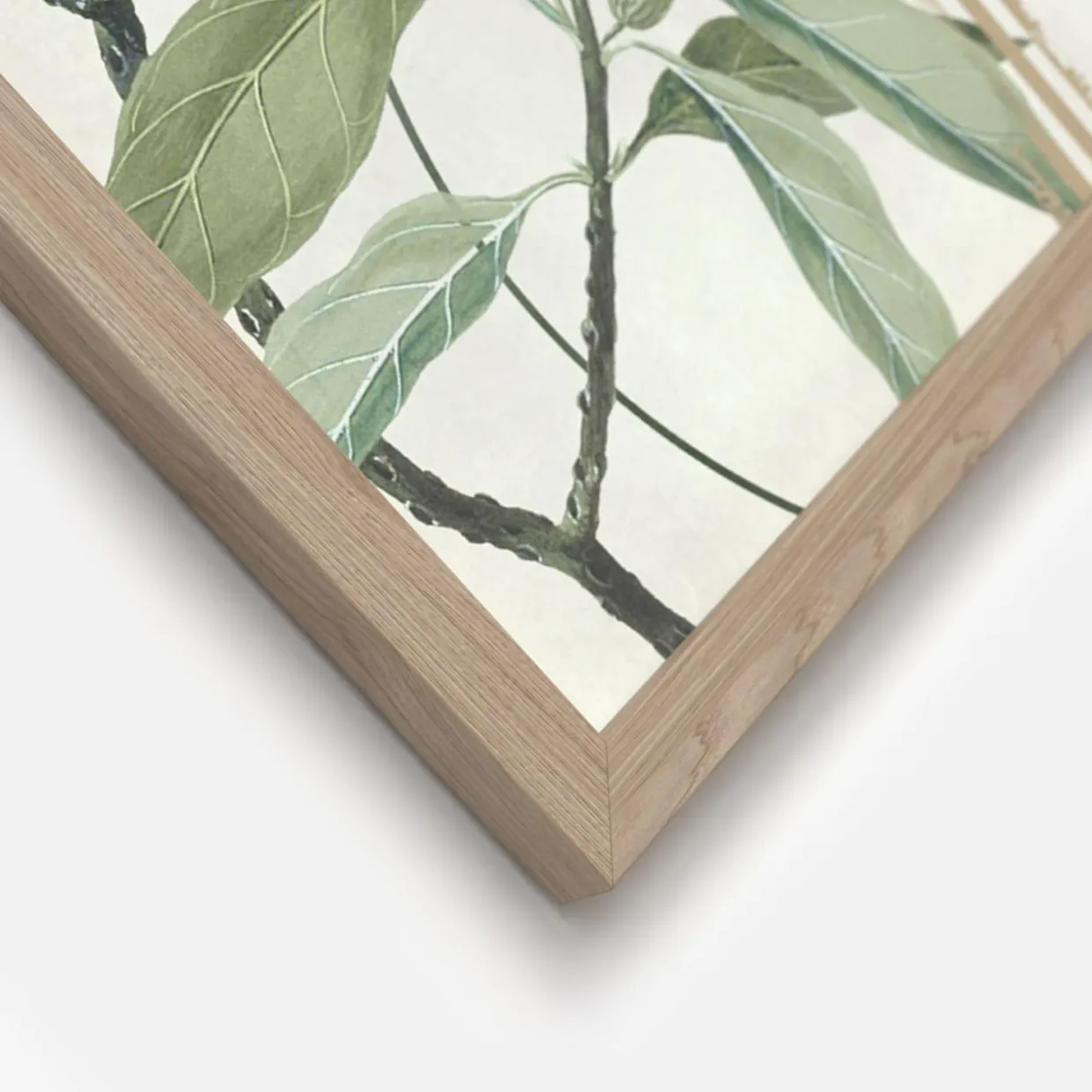 Obrazy na ścianę WALL GREEN, 2 szt. 30x40 cm