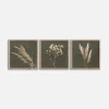 Obrazy na ścianę WALL PAMPAS 30x30 cm