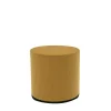 Puf ANA MUSTARD