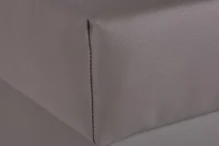 Puf ANCA