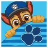 Ręcznik do rąk niebieski PAW PATROL 30x30 cm