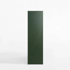 Szafa z lustrem zielona COLORI